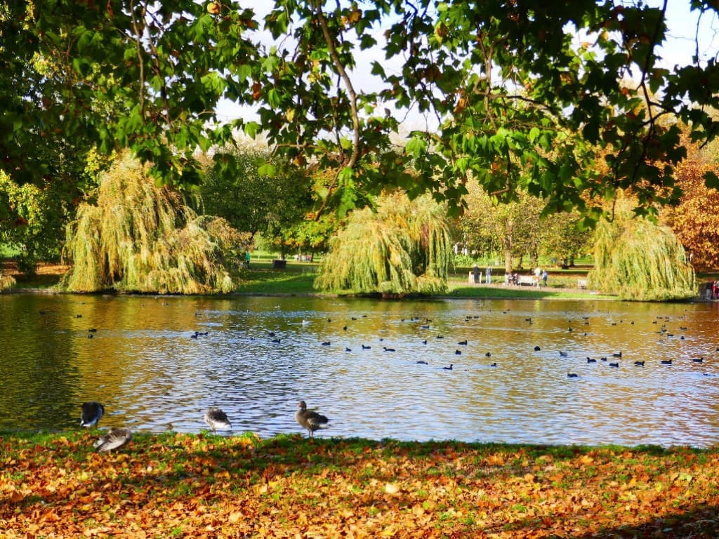 St James Park
