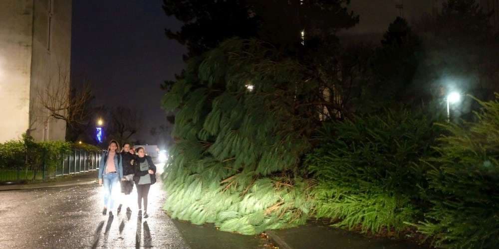 Image d'illustration pour Tempêtes et inondations : bilan des intempéries des 13/14 décembre