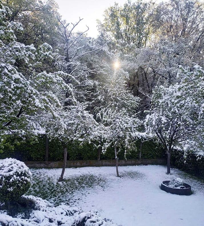 Image d'illustration pour L'actualité météo dans le monde en ce mois de mai 2020