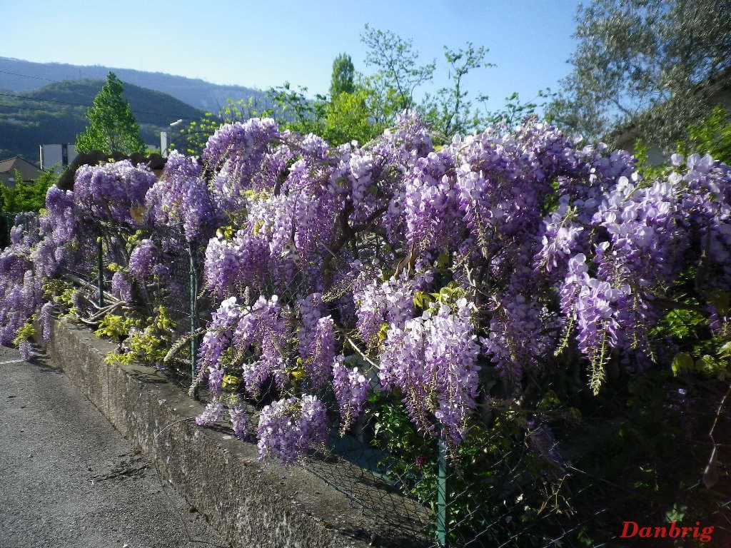 Image d'illustration pour Nature en avance et cumulus : vos photos de ce beau printemps