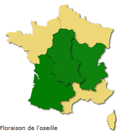 Image d'illustration pour Les pollens de graminées passent à l'offensive !