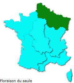 Image d'illustration pour Les pollens de graminées passent à l'offensive !