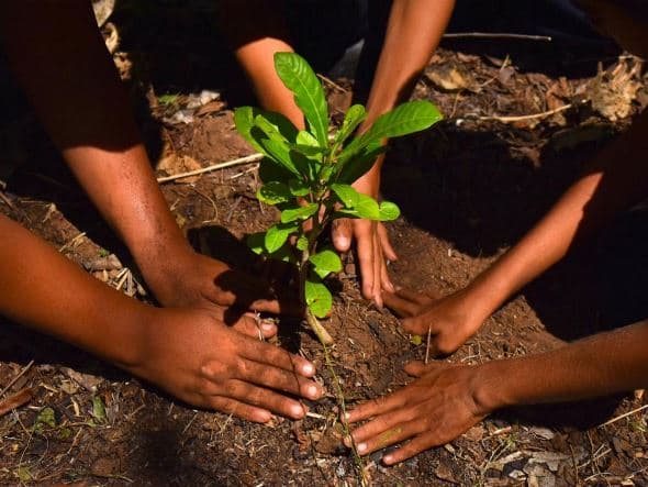 Image d'illustration pour Changements climatiques : notre revue de presse 