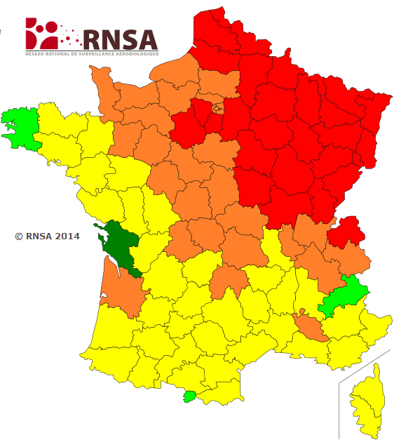 Image d'illustration pour Allergies : pollens de bouleau, de platane et de chêne