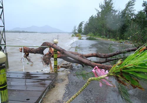 Image d'illustration pour Ex typhon Wutip / Paolo (Vietnam - Laos - Thaïlande)