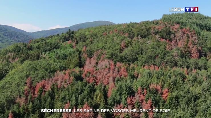 Image d'illustration pour Sommes-nous en train de vivre un emballement climatique ?