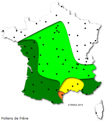 Image d'illustration pour Soleil & douceur réveillent précocément végétation & pollens