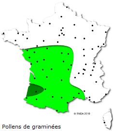 Image d'illustration pour Soleil & douceur réveillent précocément végétation & pollens