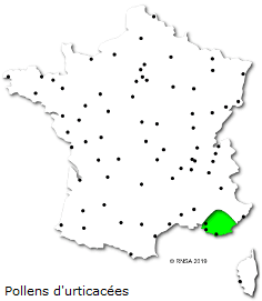 Image d'illustration pour Soleil & douceur réveillent précocément végétation & pollens