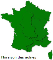 Image d'illustration pour Soleil & douceur réveillent précocément végétation & pollens