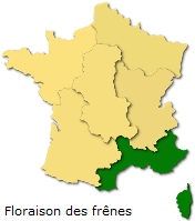 Image d'illustration pour Soleil & douceur réveillent précocément végétation & pollens