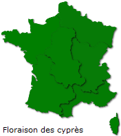 Image d'illustration pour Soleil & douceur réveillent précocément végétation & pollens