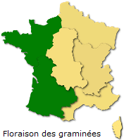 Image d'illustration pour Soleil & douceur réveillent précocément végétation & pollens