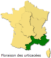 Image d'illustration pour Soleil & douceur réveillent précocément végétation & pollens