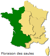 Image d'illustration pour Soleil & douceur réveillent précocément végétation & pollens