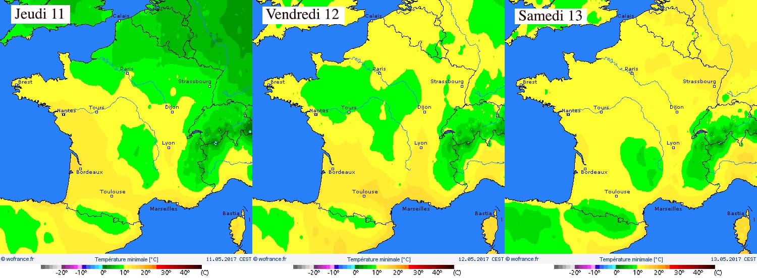 Image d'illustration pour Saints de glace : pas de risque de gel cette année